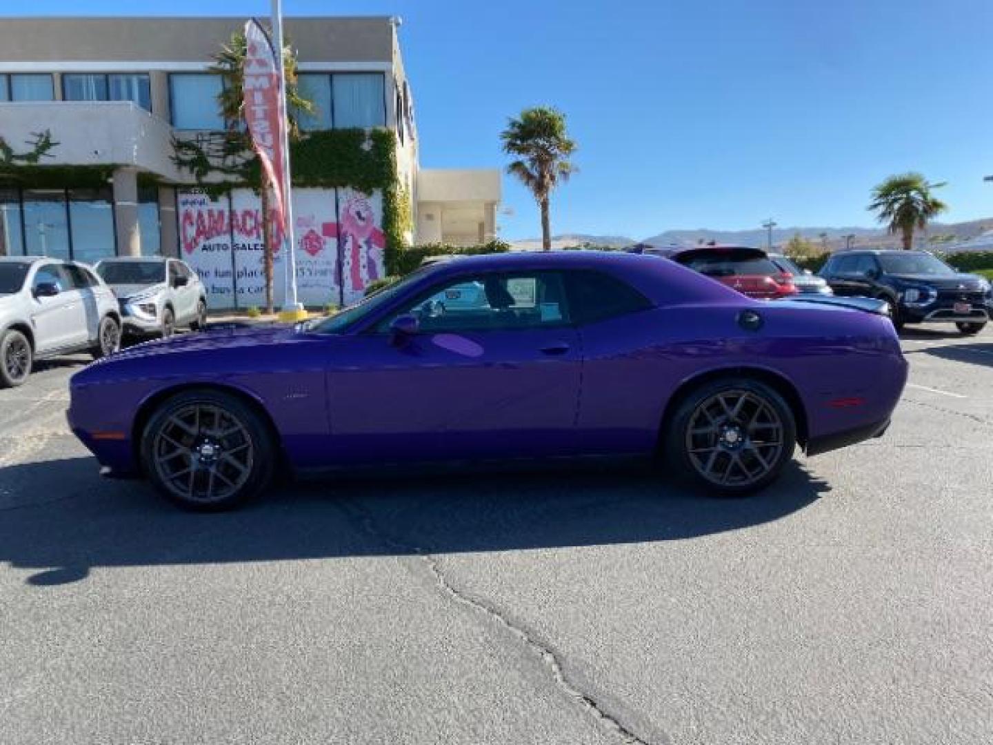 2016 PURPLE Dodge Challenger (2C3CDZBT0GH) with an V8 HEMI MDS 5.7 Liter engine, Automatic 8-Spd transmission, located at 412 Auto Vista Drive, Palmdale, 93551, (661) 945-0620, 34.592636, -118.136681 - Photo#3