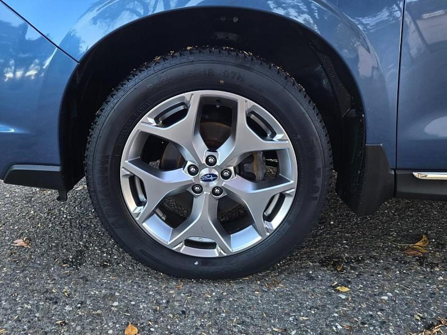 2017 BLUE Subaru Forester (JF2SJAWC2HH) with an 4-Cyl PZEV 2.5 Liter engine, Auto CVT Lineartronic transmission, located at 246 E Walker St., Orland, 95963, (530) 865-5800, 39.747589, -122.178398 - Photo#28