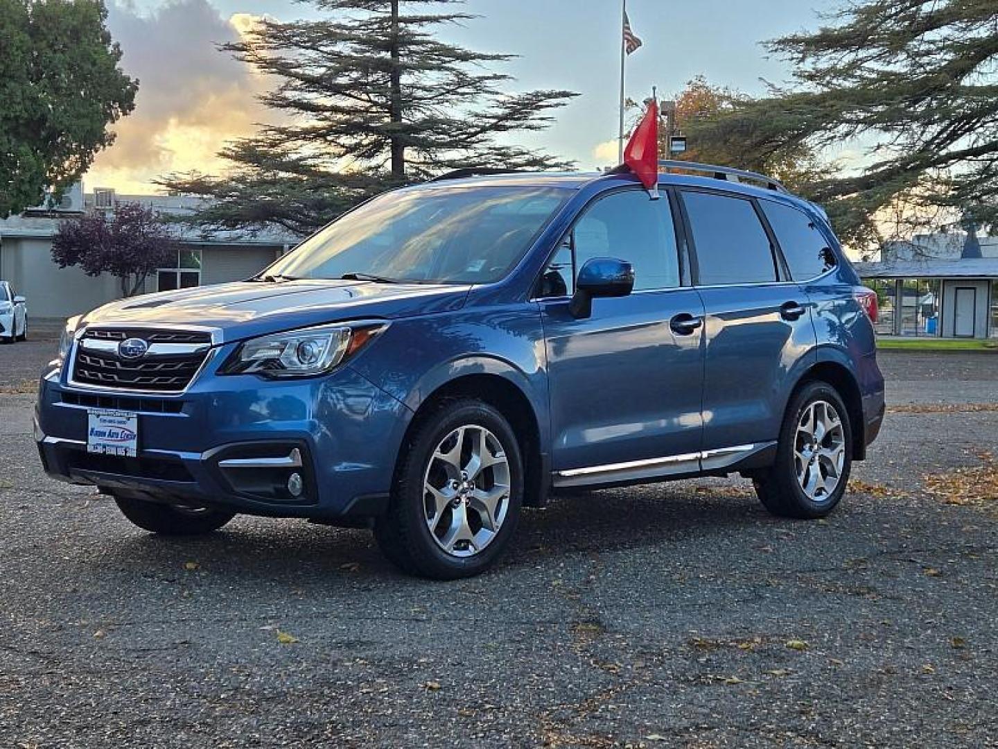 2017 BLUE Subaru Forester (JF2SJAWC2HH) with an 4-Cyl PZEV 2.5 Liter engine, Auto CVT Lineartronic transmission, located at 246 E Walker St., Orland, 95963, (530) 865-5800, 39.747589, -122.178398 - Photo#3