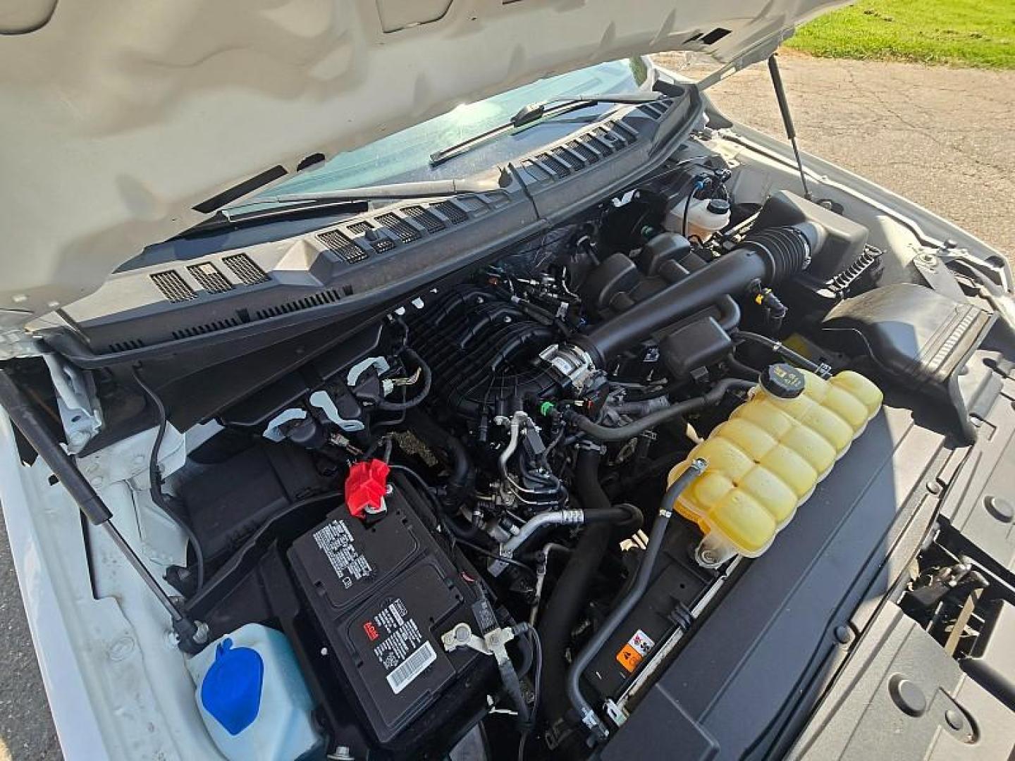 2020 WHITE Ford F-150 4WD (1FTEX1EB4LK) with an V6 Flex Fuel 3.3 Liter engine, Automatic 6-Spd w/SelectShift transmission, located at 246 E Walker St., Orland, 95963, (530) 865-5800, 39.747589, -122.178398 - Photo#28