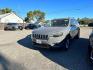 2021 GRAY Jeep Cherokee (1C4PJLLBXMD) with an 4-Cyl 2.4 Liter engine, Automatic 9-Spd transmission, located at 246 E Walker St., Orland, 95963, (530) 865-5800, 39.747589, -122.178398 - Photo#0